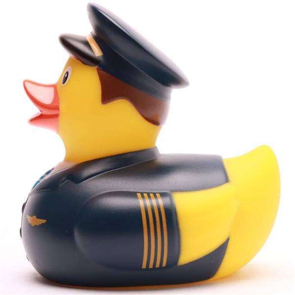 Canard Pilote de ligne