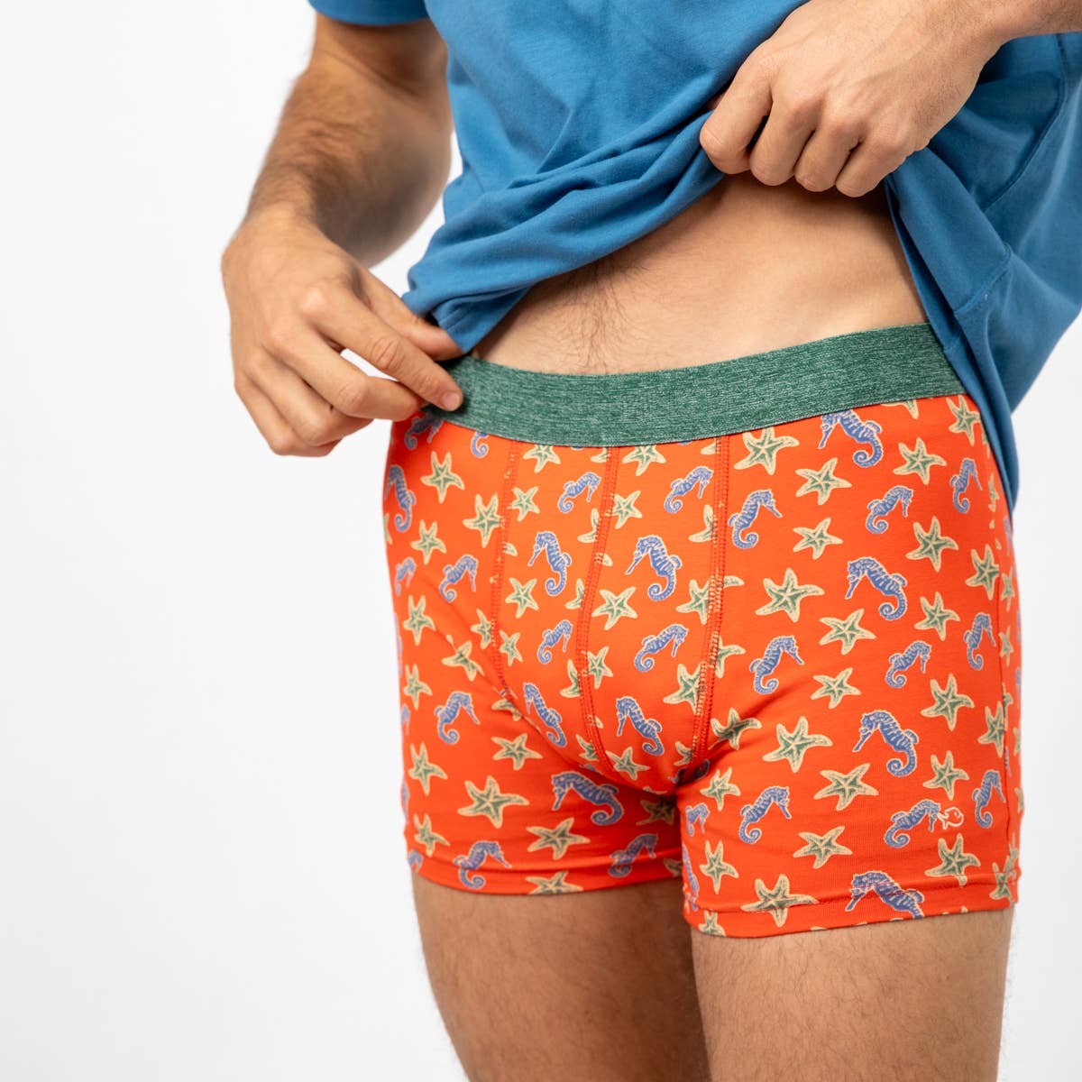 Cuecas Boxer em Algodão Biológico - Cavalo-marinho