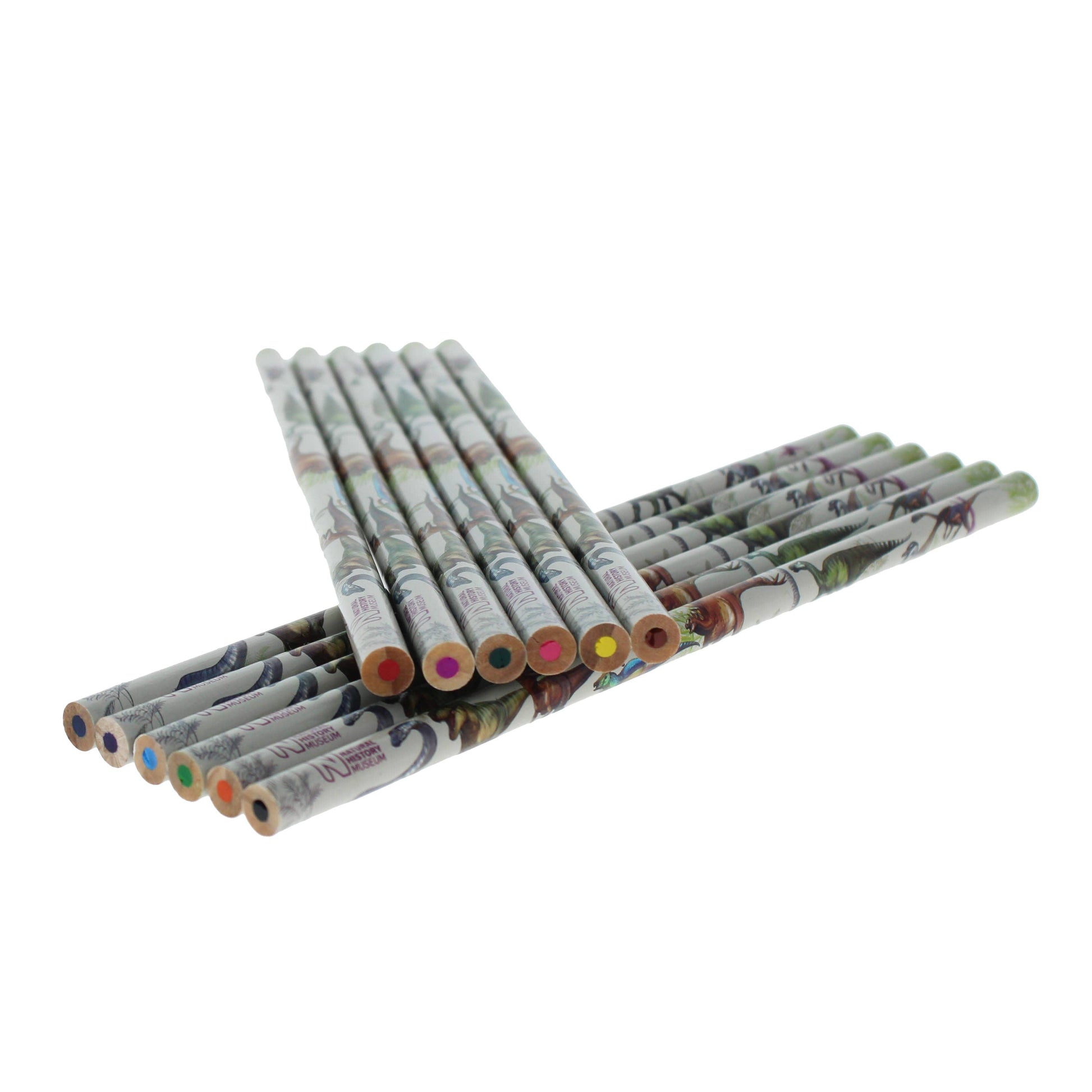 Crayons de – couleur du Musée d'histoire naturelle | Blueprint Collections – vue 5