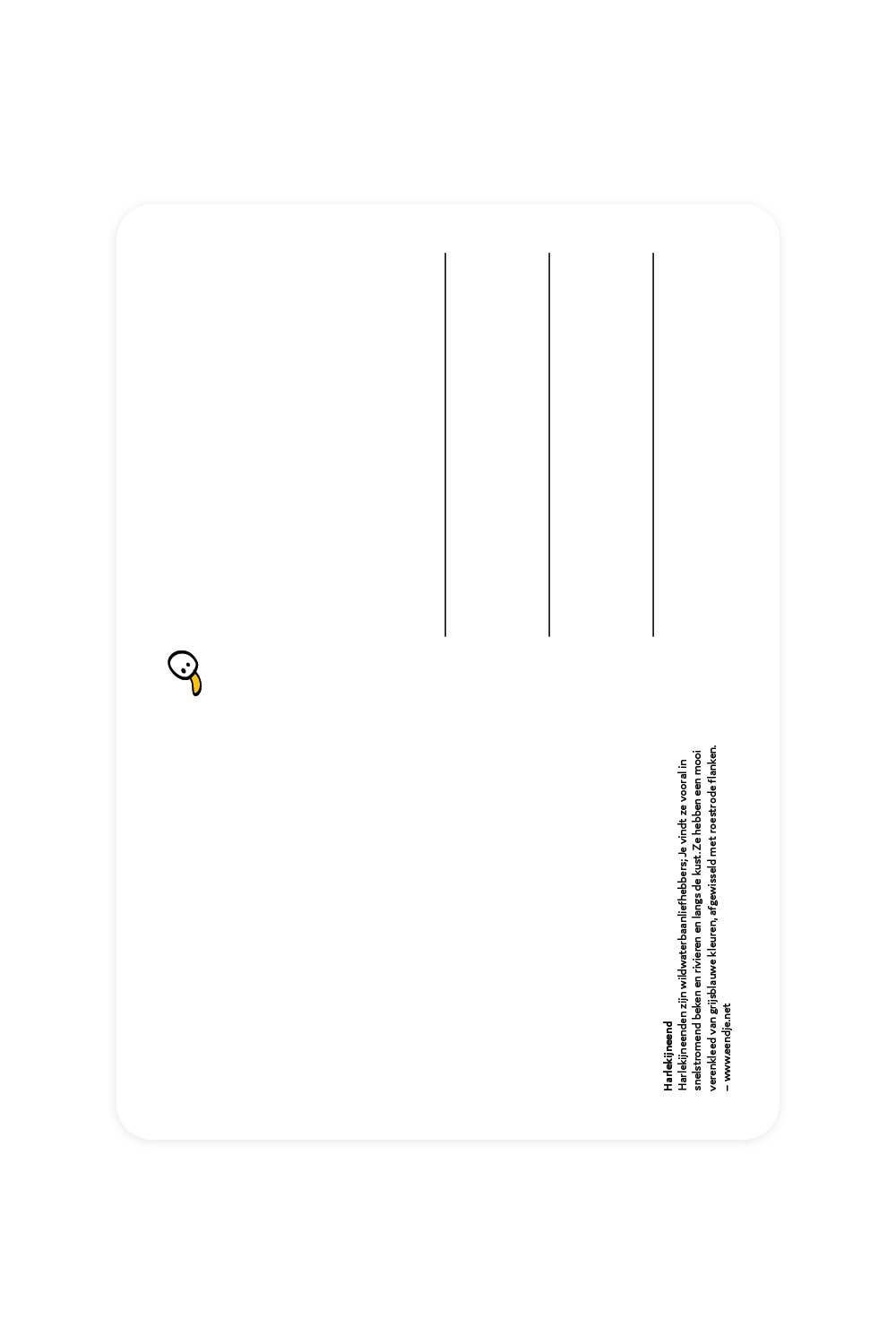 Postal con pato arlequín