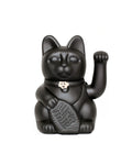 Gatto nero fortunato