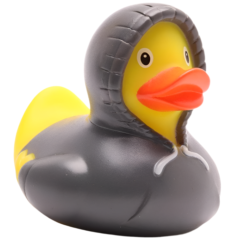 Canard Sweat à Capuche - Gris