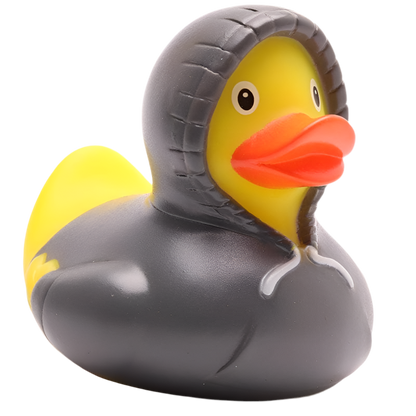 Canard Sweat à Capuche - Gris
