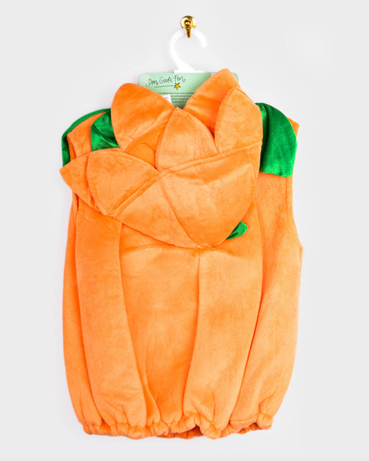 Déguisement citrouille Halloween 2-4 ans (taille 98-104 cm)