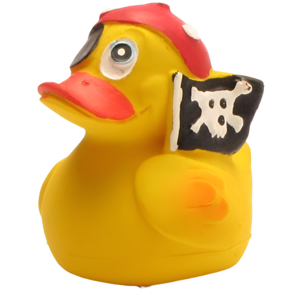 Pato pirata