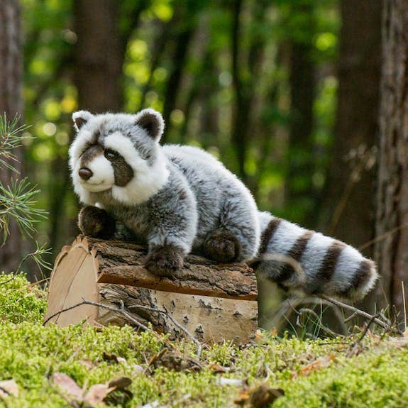 Waschbär aus Plüsch