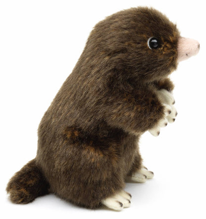 Taupe: 14 cm (hoogte)