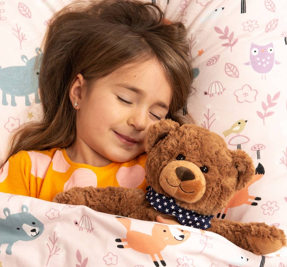 Brauner Teddybär aus Plüsch