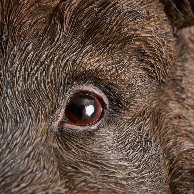 Candeeiro de parede Willy, o Javali, resina de poliuretano castanho