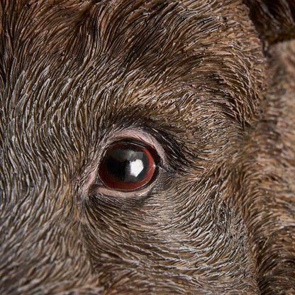 Candeeiro de parede Willy, o Javali, resina de poliuretano castanho