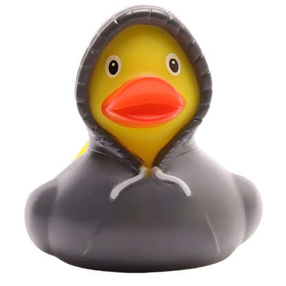 Canard Sweat à Capuche - Gris