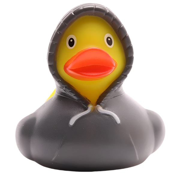 Canard Sweat à Capuche - Gris