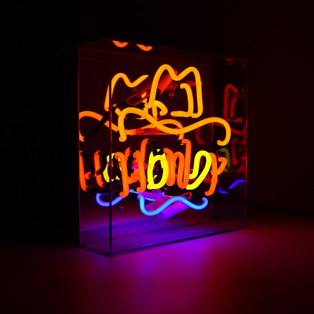'Howdy' Glass Neon Sign