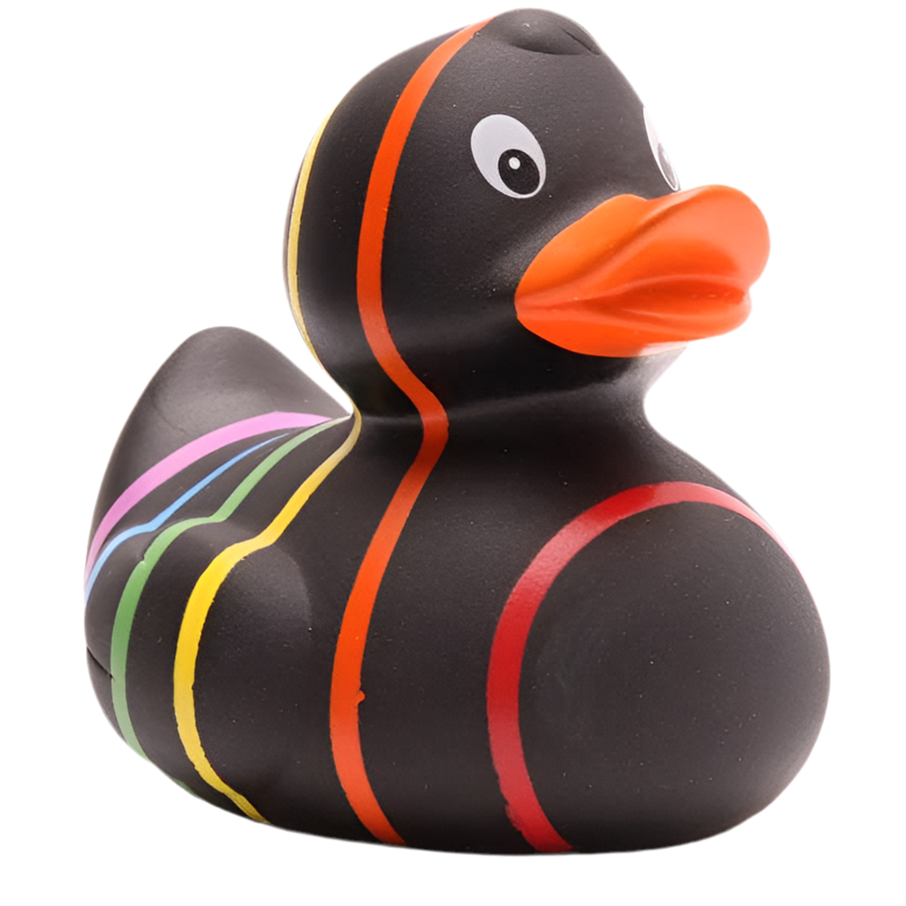 Classic Black Rainbow Duck