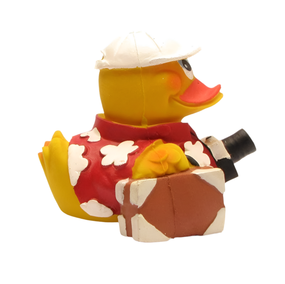 Pato de vacaciones