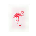 Impressão Artística Flamant Rosa