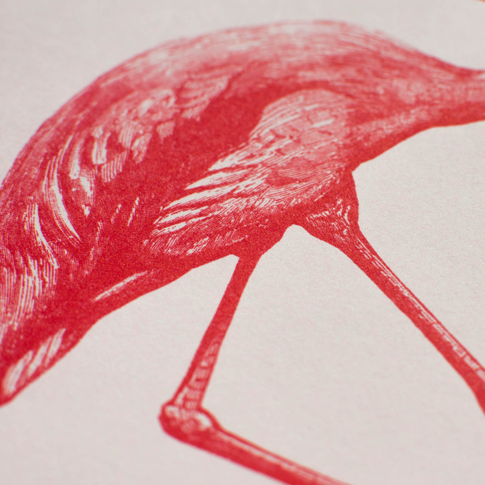 Impressão Artística Flamant Rosa