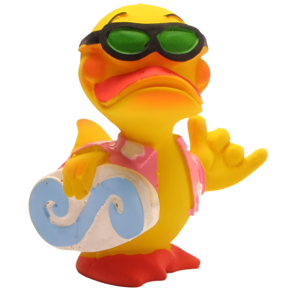 サーフィンダック