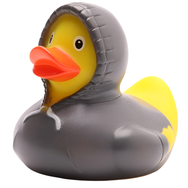 Canard Sweat à Capuche - Gris