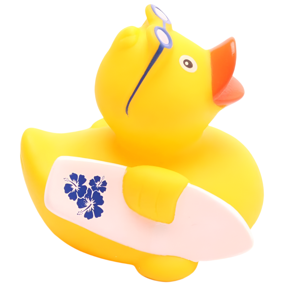 Canard Surfeur