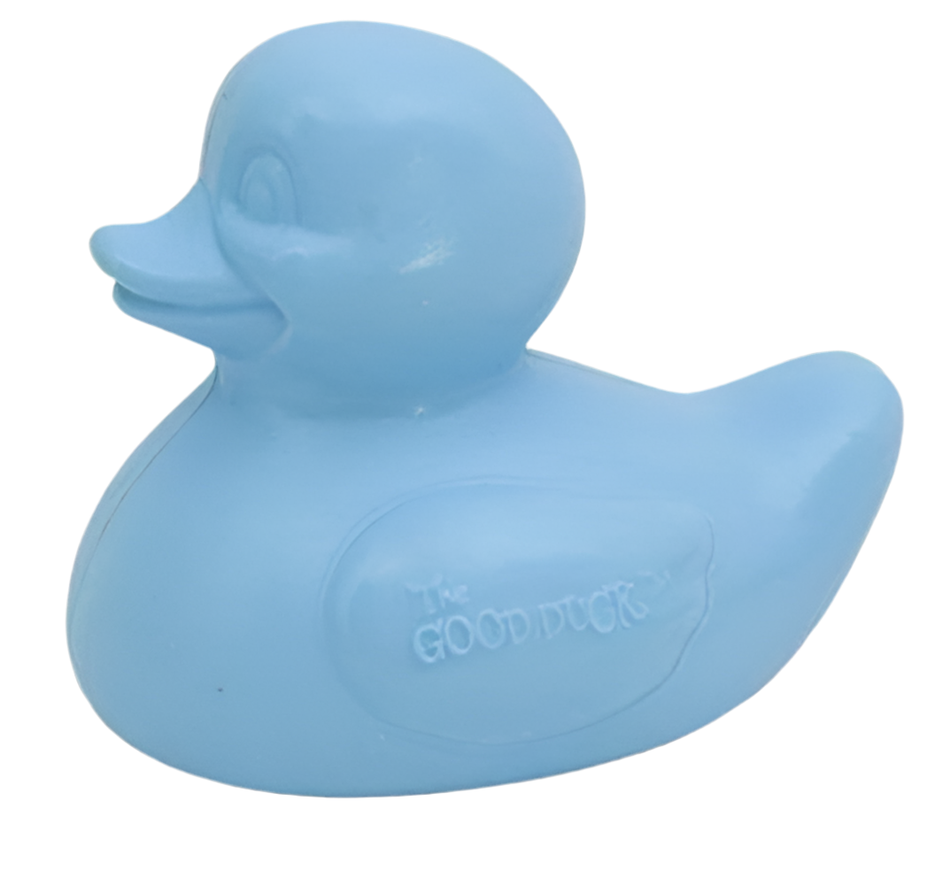 Blue Duck The Good Duck