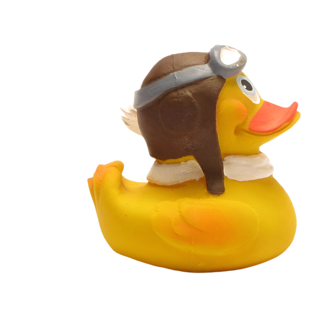 Aviator Duck