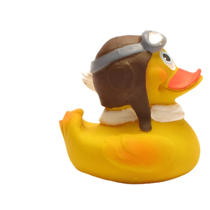 Aviator Duck