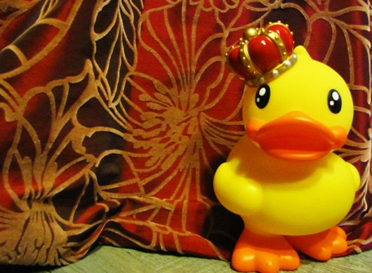 Enten-Spardose Roi