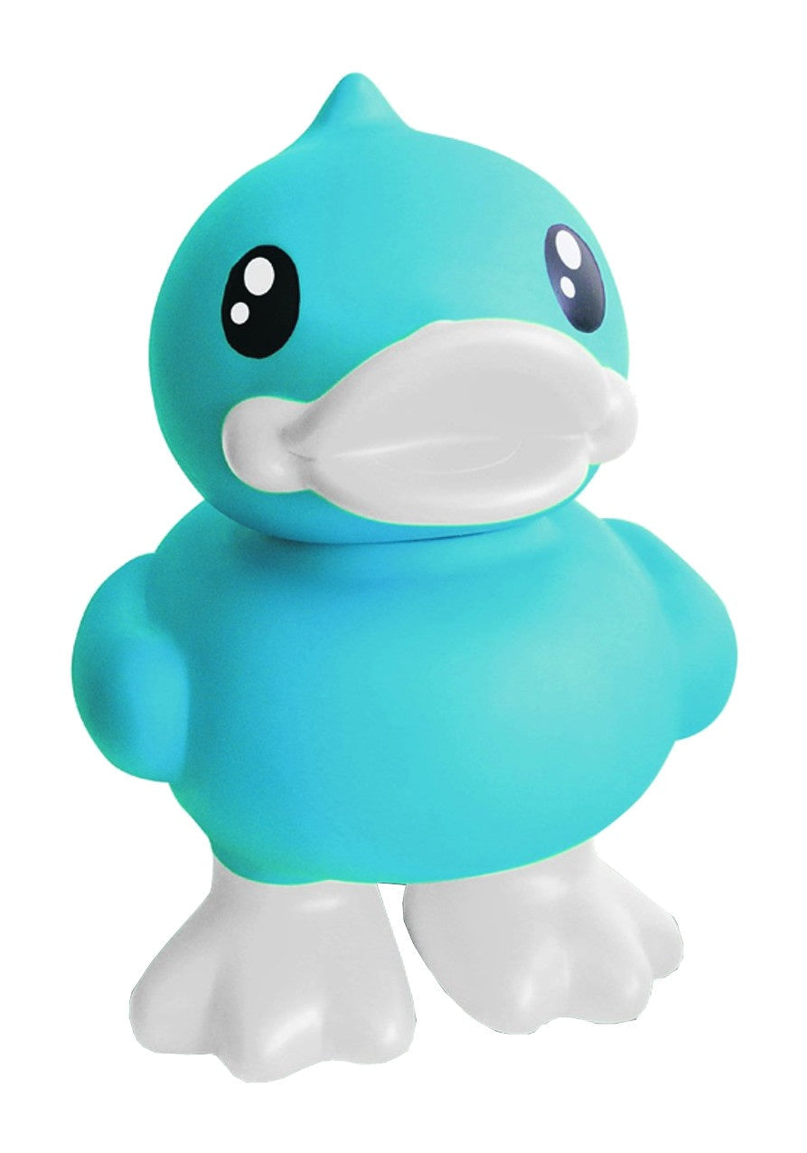 Blue duck