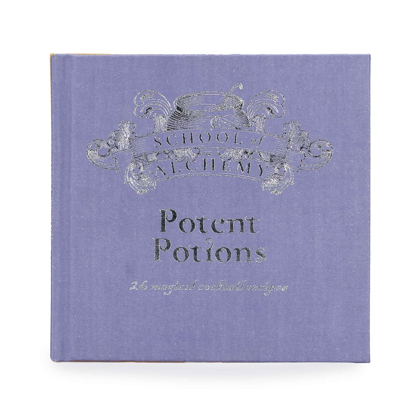 Livre cadeau School of Alchemy Potent Potions Harry Potter