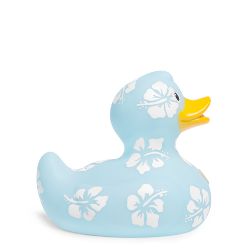 Vacaciones de pato