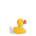Mini Canard It's A Boy