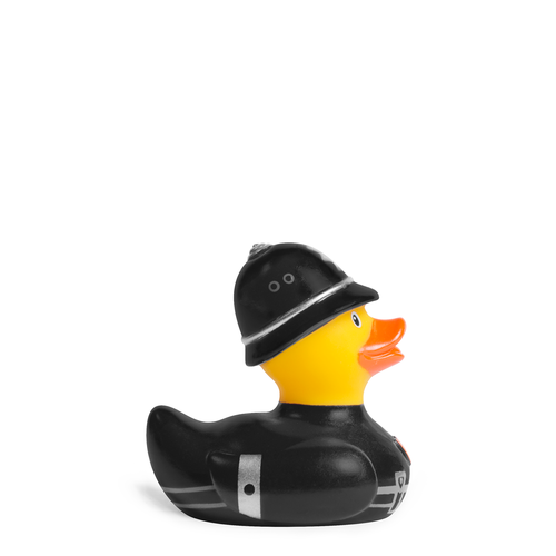 Mini Canard Constable