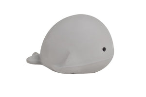 Mijn eerste zeedier – Walvis