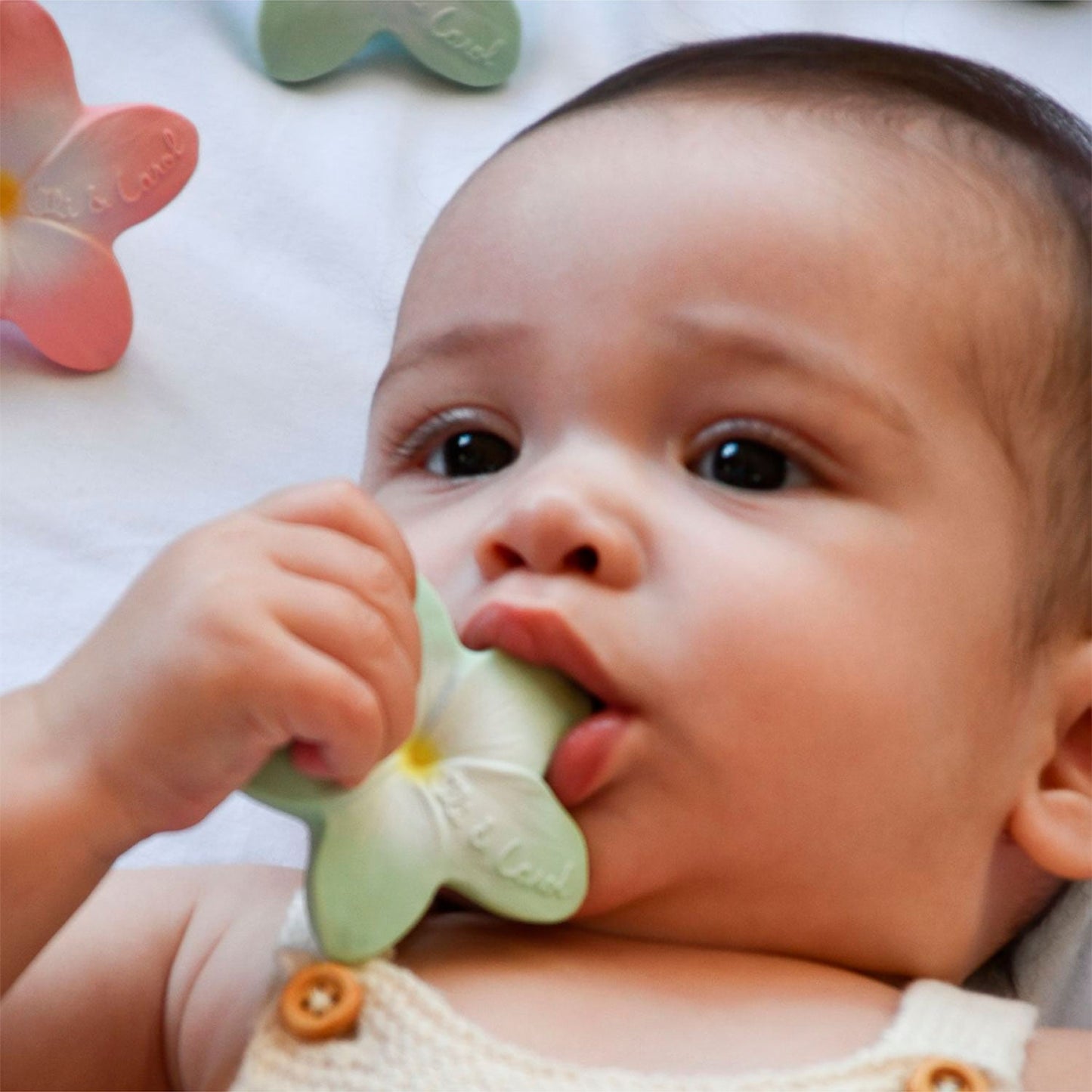 Spice Garden Baby Gift Set