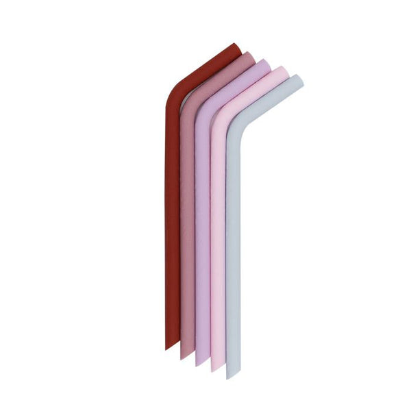 Coffret de 5 Pailles en Silicone Earth & Bloom