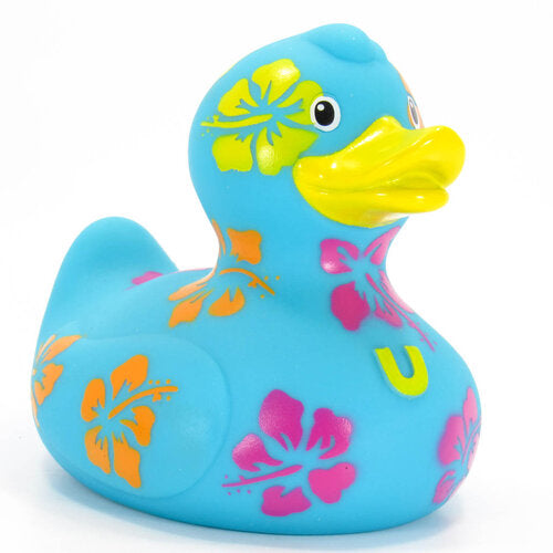 Hawaiian duck