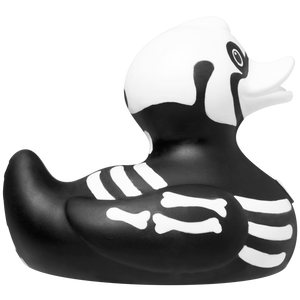 Canard Rayon X