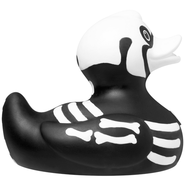 Canard Rayon X