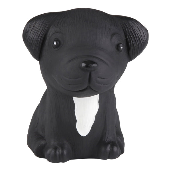 Puppyparade Franse Bulldog