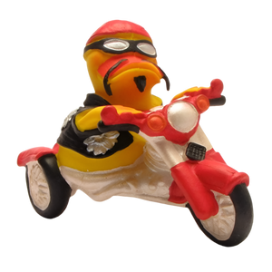 Pato motero