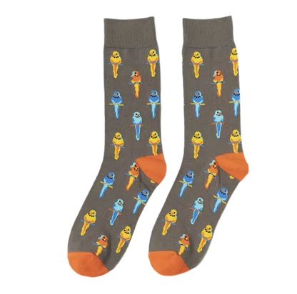 chaussettes perroquets exotiques mrcol