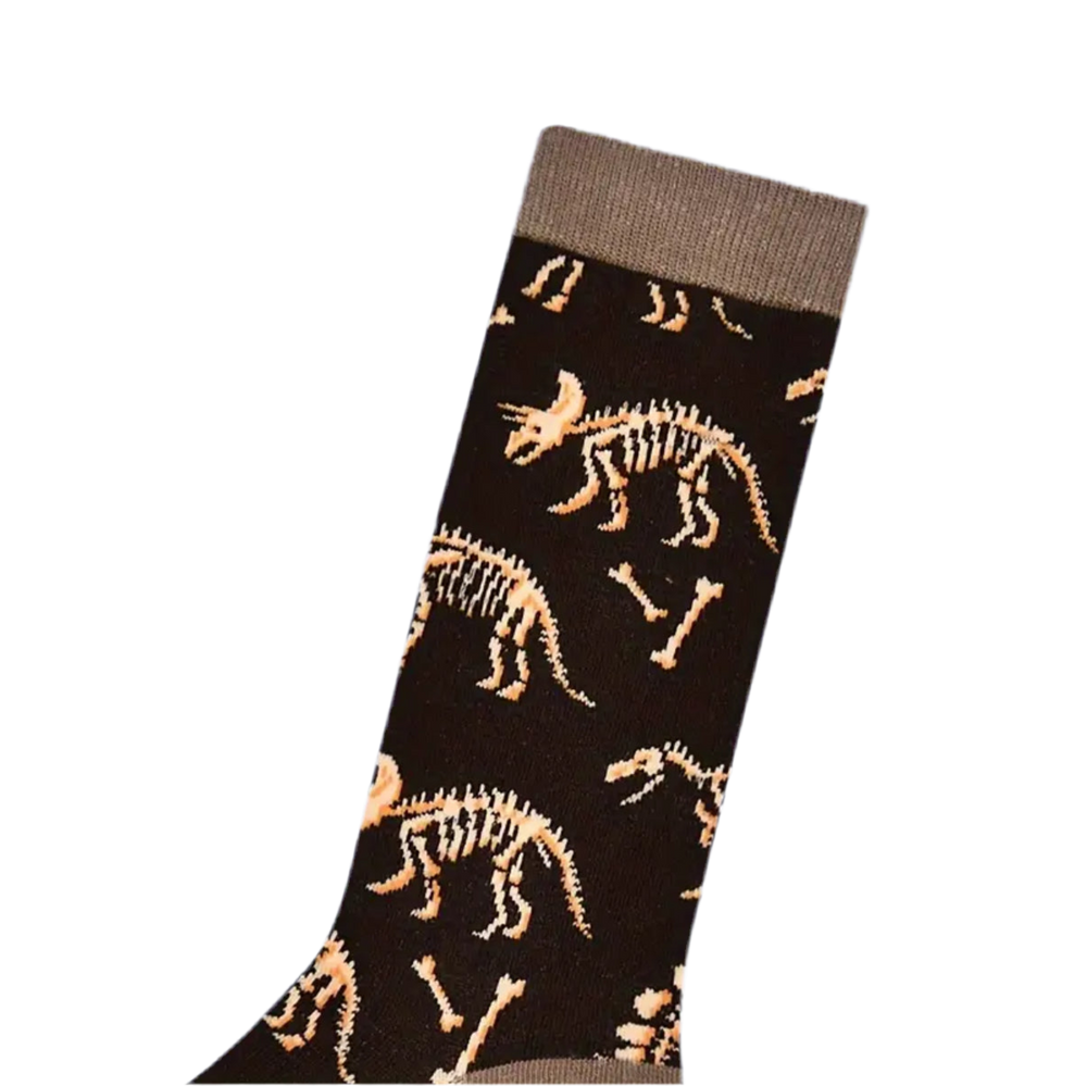 Chaussettes Fossiles de Dinosaures