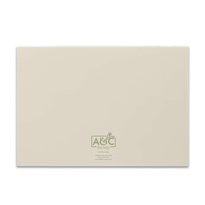 Coffret de 12 cartes et enveloppes Rasp / Sage
