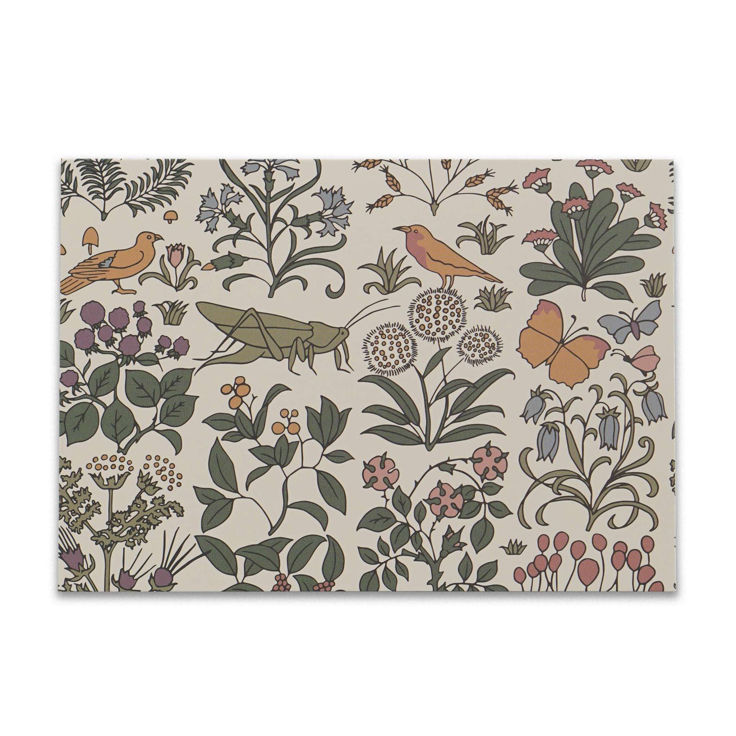 Coffret de 12 cartes et enveloppes Apothercary Garden