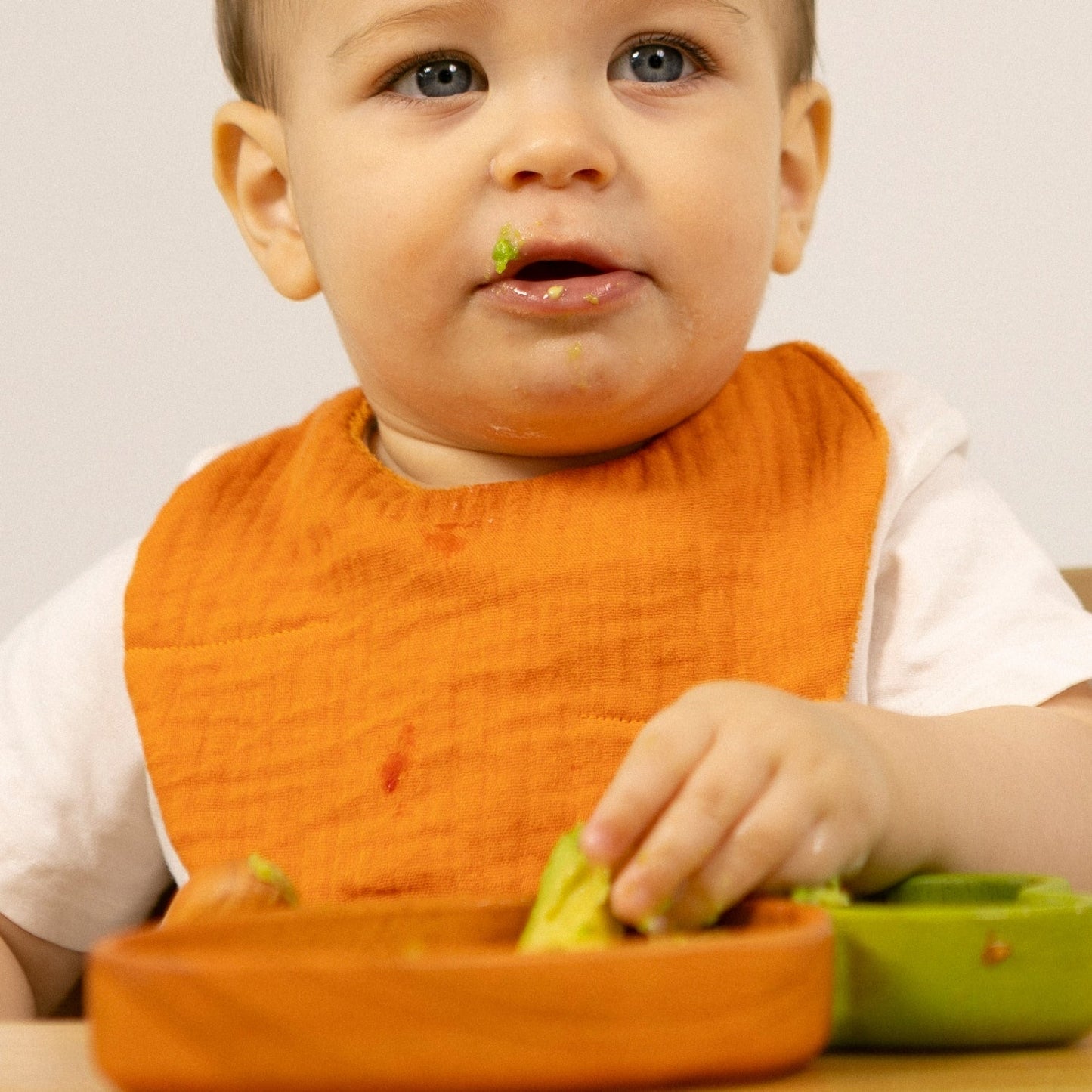Cathy The Carrot Bib
