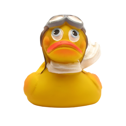 Aviator Duck