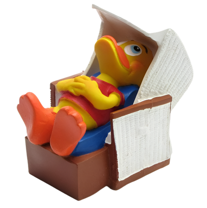 Duck Beach Chair