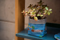 Vaso de plantas em forma de pato-real