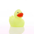 Phosphorescent yellow duck